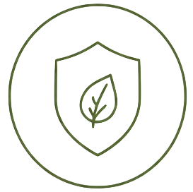 Secure & Protected